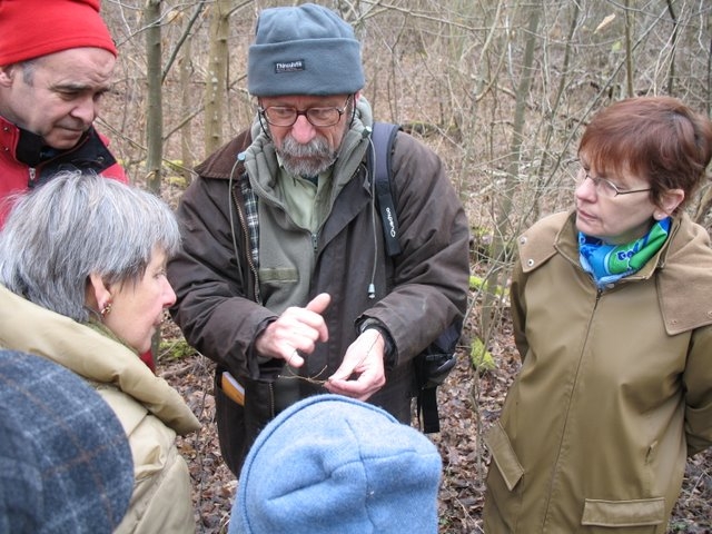 Reconnaissance des arbres 035